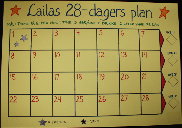 28-dagers plan