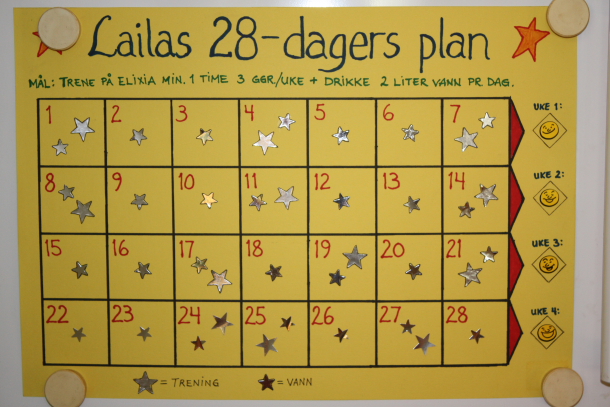 28-dagers plan