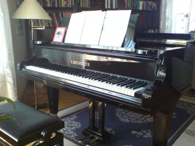 Bechstein fra 1919